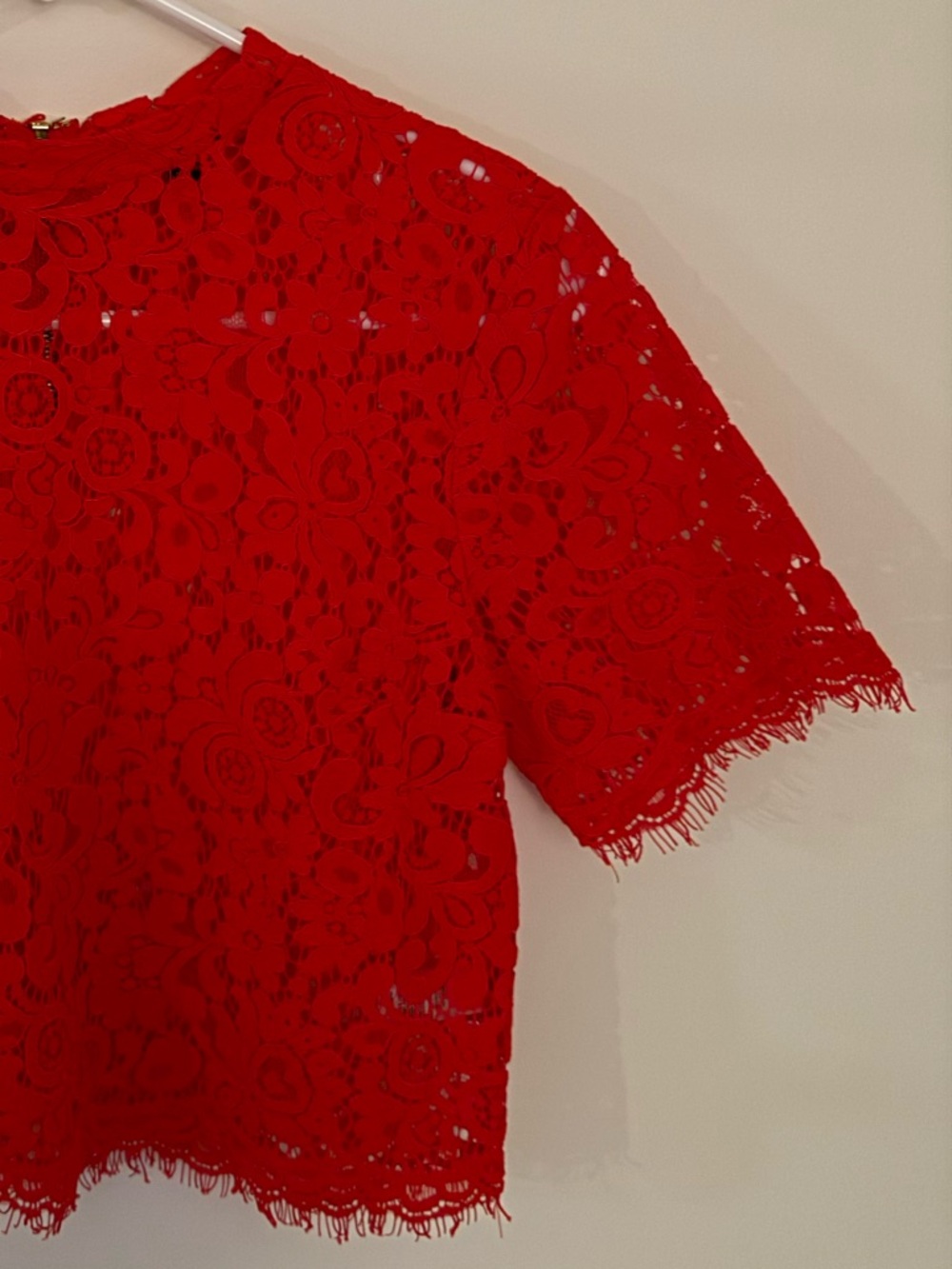 Express Cropped Red Lace Shell Top